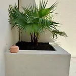 Charmante Maison Avec Terrasse Tatil Evi *