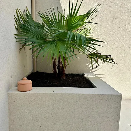 Charmante Maison Avec Terrasse Holiday home *
